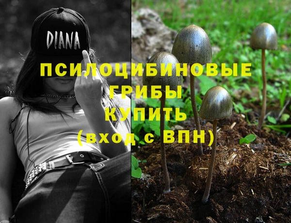 не бодяженный Беломорск