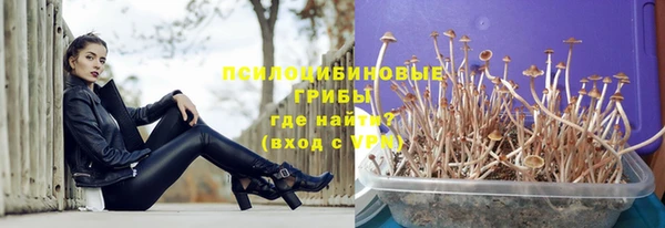 ALPHA-PVP Белокуриха